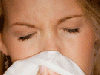 1359_alergie.gif
