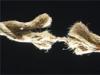 1670_stres.jpg